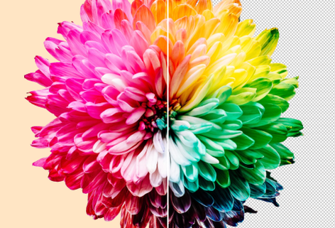 在线图片去底色工具