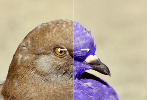 在线改变图像的颜色编辑器