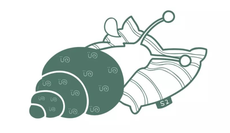 蜗牛睡眠怎样开始睡眠