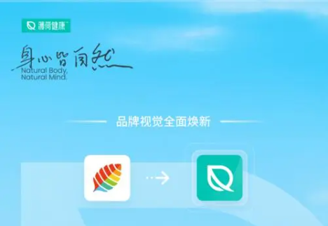 薄荷健康怎么看基础代谢