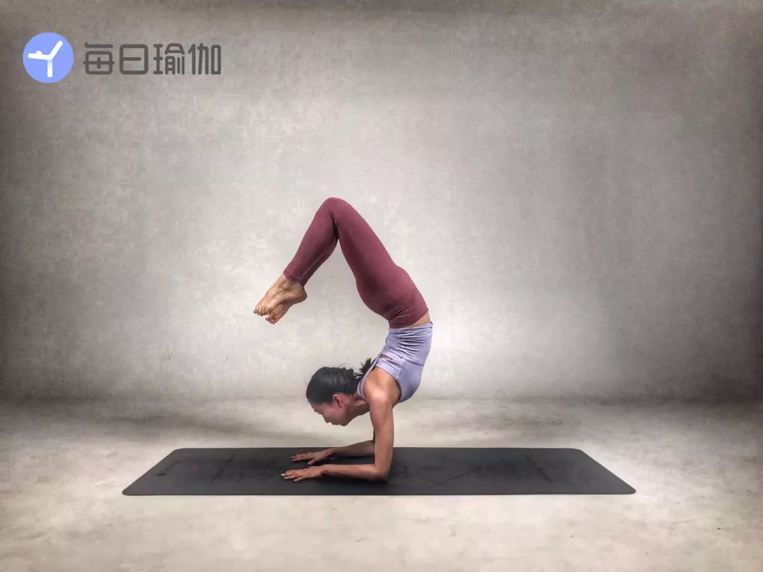 每日瑜伽有哪些课程