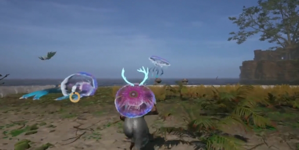 落日余晖水母滑翔伞在哪里获取