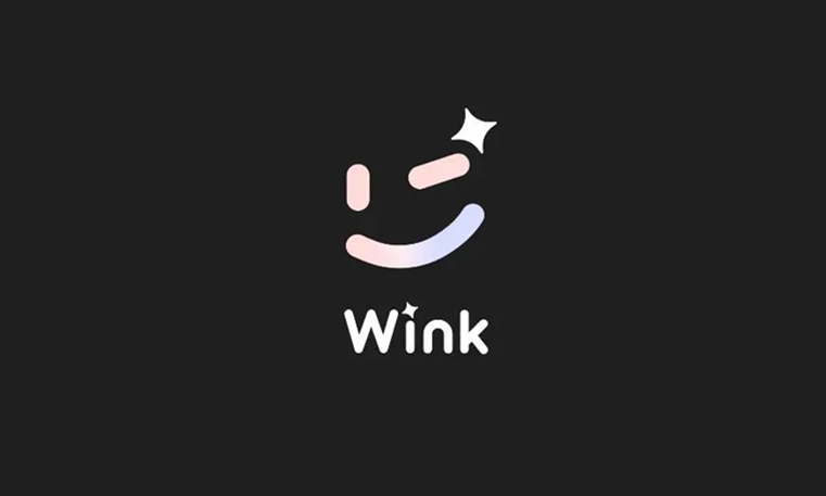 wink软件怎么人物跟踪