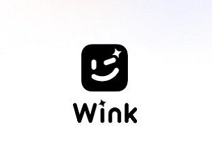 wink软件怎么慢动作