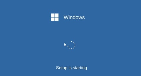 windows11模拟器中文版