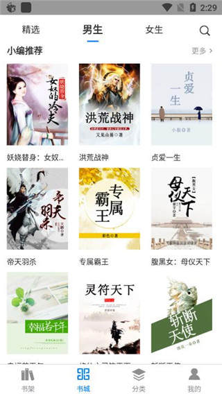 皮皮小说正式版