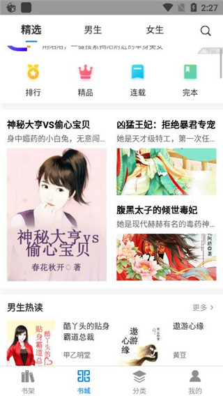 皮皮小说正式版