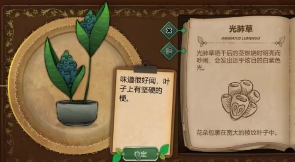 奇异园艺安卓中文版