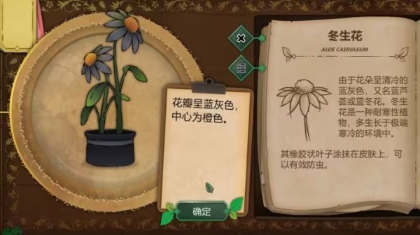 奇异园艺安卓中文版