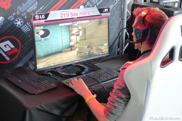 单机游戏排行榜前十