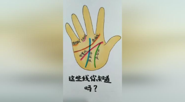手纹线三条线各代表什么