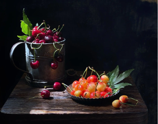 去除照片遮挡物软件app免费