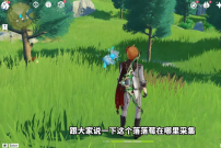 原神3.8版本落落莓在哪里采集