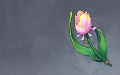 原神虹彩蔷薇在哪里采集