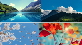 手机壁纸app排行榜前十名