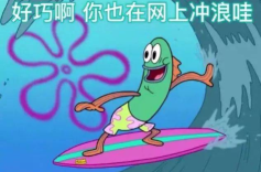 网上冲浪软件下载合集