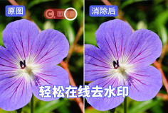 免费好用的去水印工具分享