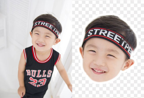 具有头发级精细的头像抠图工具