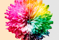 在线图片去底色工具