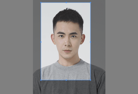 在线证件照裁剪编辑器