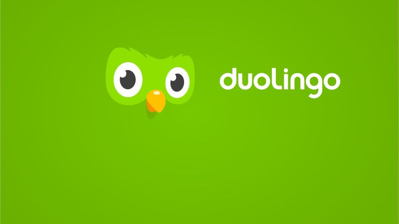 多邻国怎么设置桌面小组件