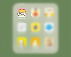 喵喵记账怎么开始全新的记录