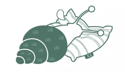 蜗牛睡眠怎样开始睡眠