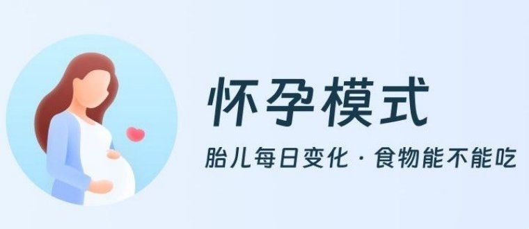 记录怀孕周期的软件推荐