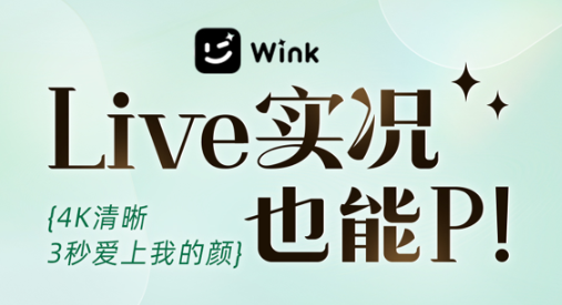 wink软件如何去双下巴