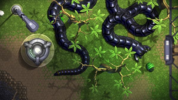 食肉虫模拟器(insatiable io snakes)