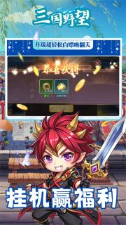 三国野望