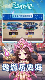 三国野望