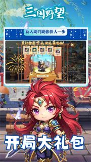 三国野望