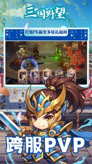 三国野望