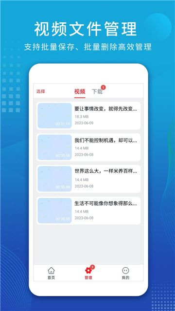 视频解析大师