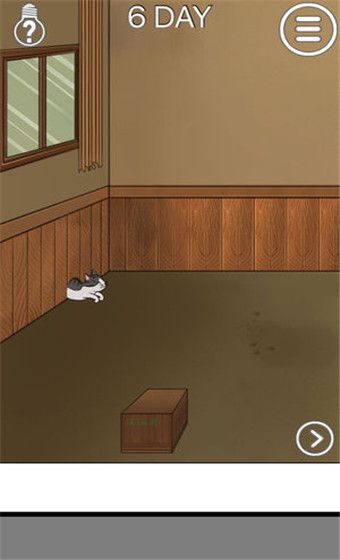 我的猫咪找不到了手游