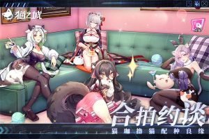 猫之城最新版