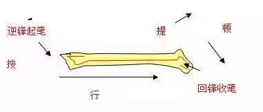 书法教程入门毛笔-毛笔书法字体入门基础教程