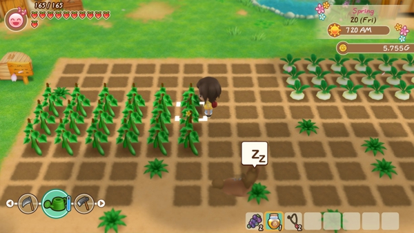 牧场物语再会矿石镇修改器