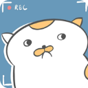 主播和猫的故事游戏无限金币版