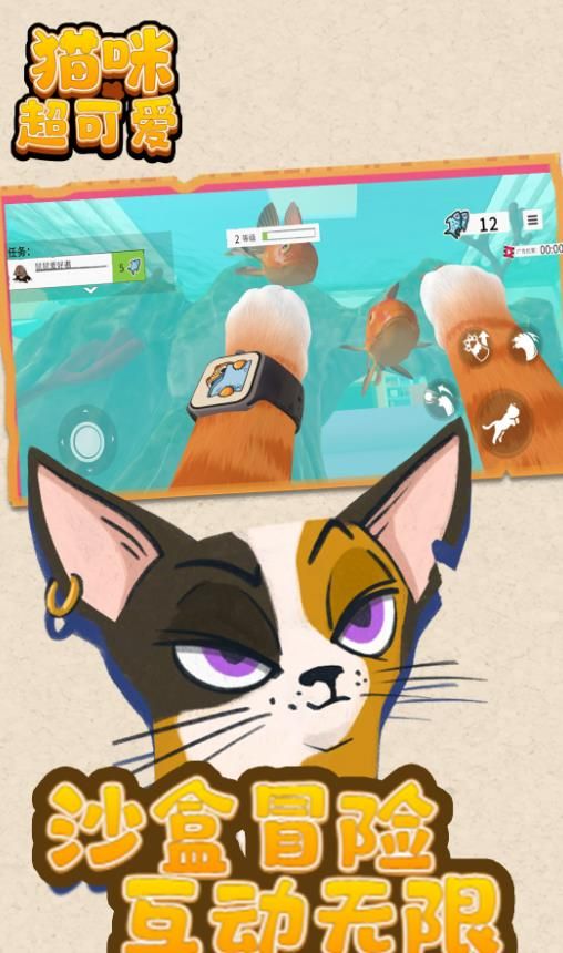 猫咪超可爱 猫咪超可爱