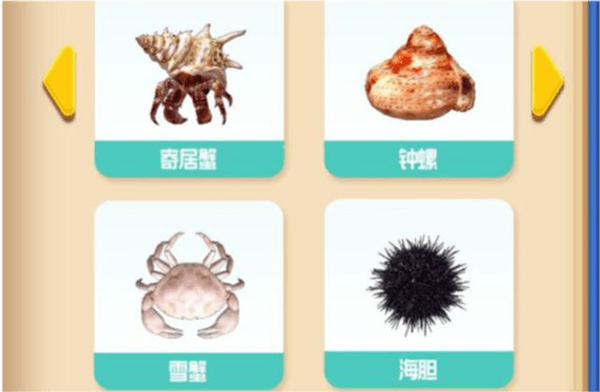 赶海王游戏无限体力无限金币 赶海王游戏无限体力无限金币