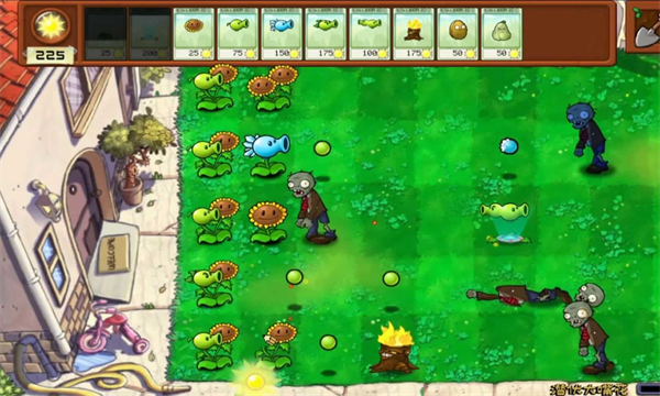 植物大战僵尸拼接版 植物大战僵尸拼接版