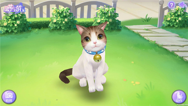 喵与筑无限猫爪版