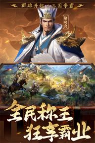 三国志战棋天下